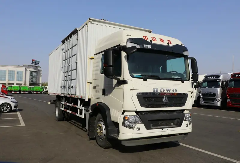 HOWO T5G 4X2 Cargo Trucks-2