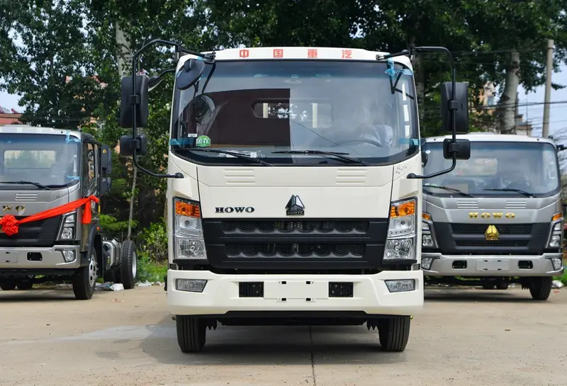 Howo light Truck -3