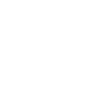 icon1