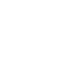 icon2